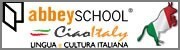 Schools of Italian in Turin Italy